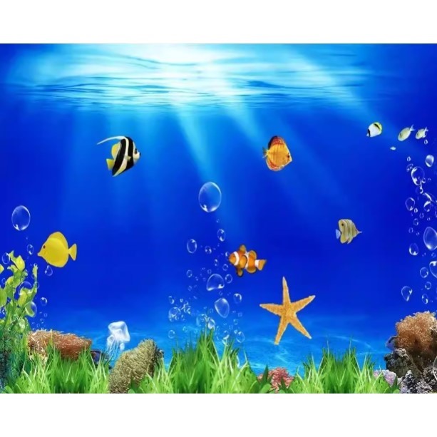 Aquarium Fish Wallpaper - High Definition 3D Aquarium Background Sticker