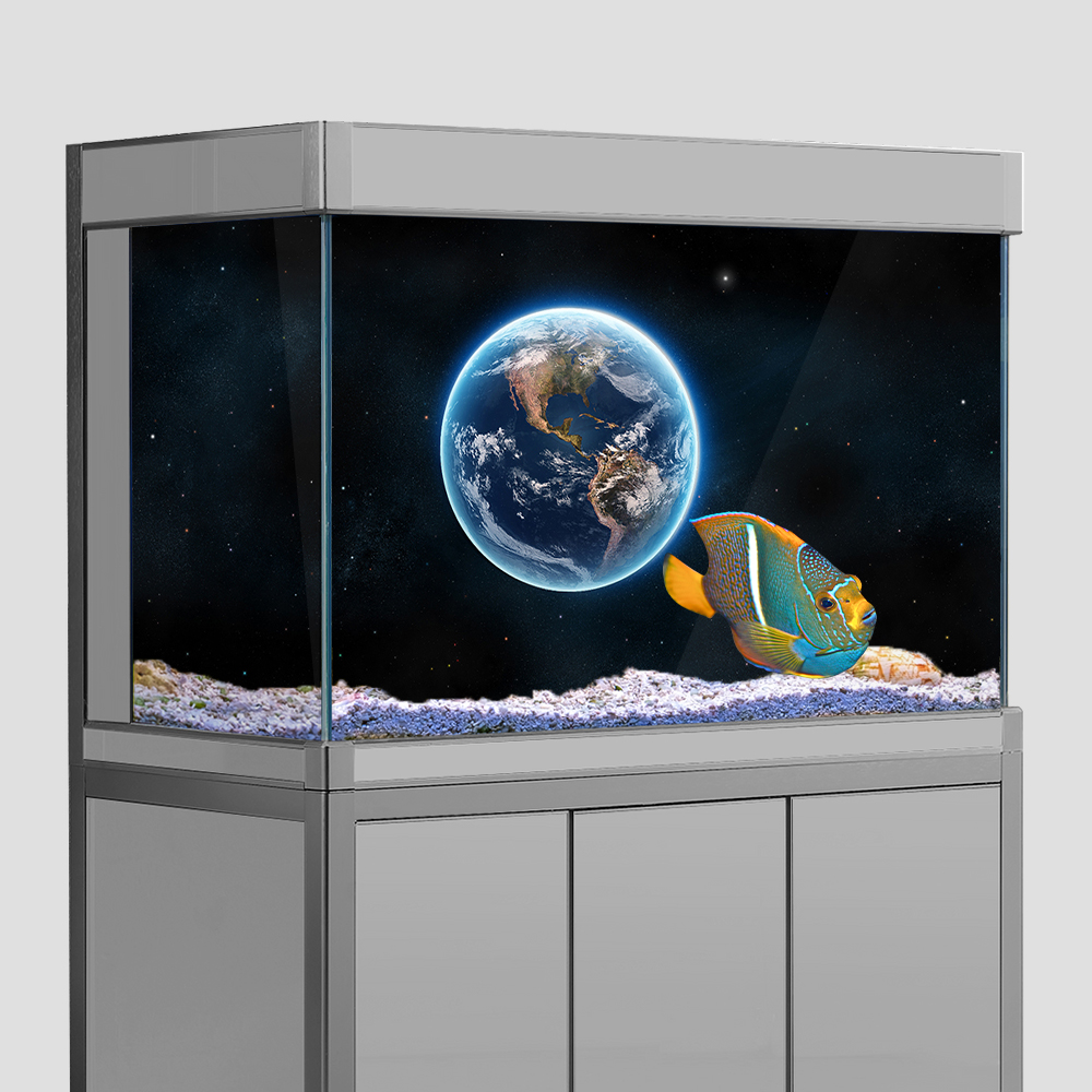 Aquarium Fish Wallpaper - Aquarium Fish Tank Background Sticker,Earth Planet