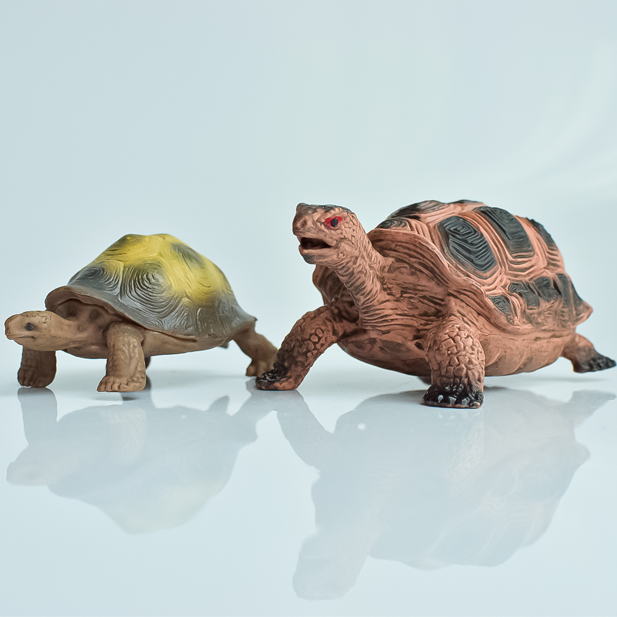Aquarium Fish Only - Painted Realistic Animal Turtle | Aquatic