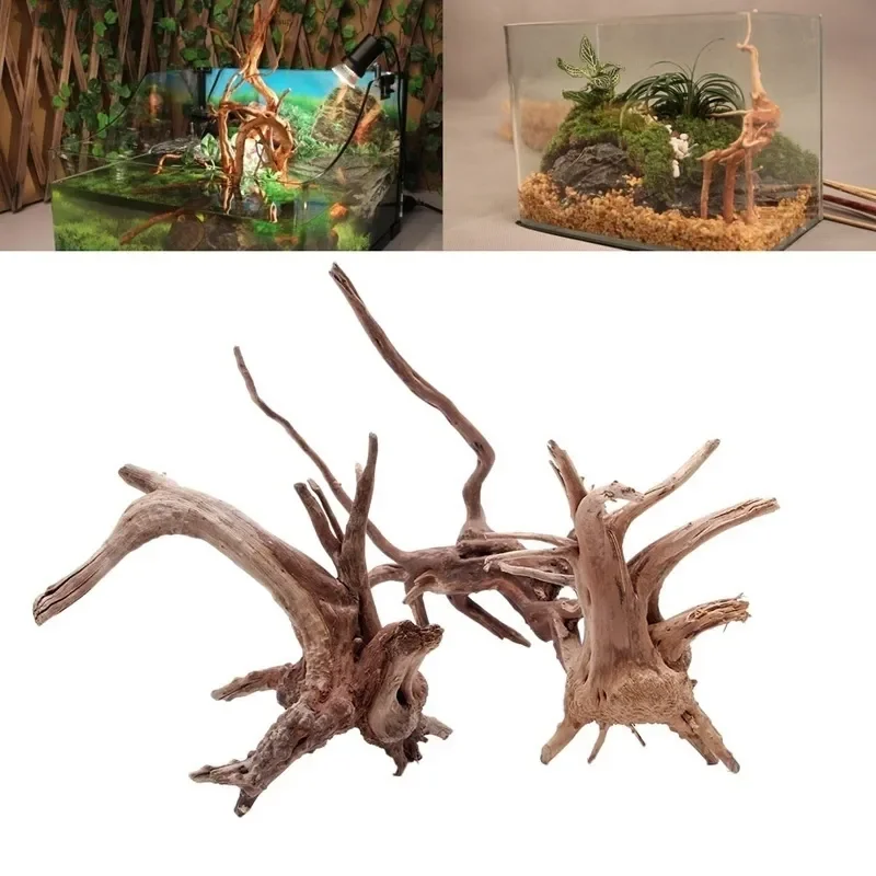 Aquarium Fish Cartoon - Natural Tree Trunk Driftwood Aquarium Fish