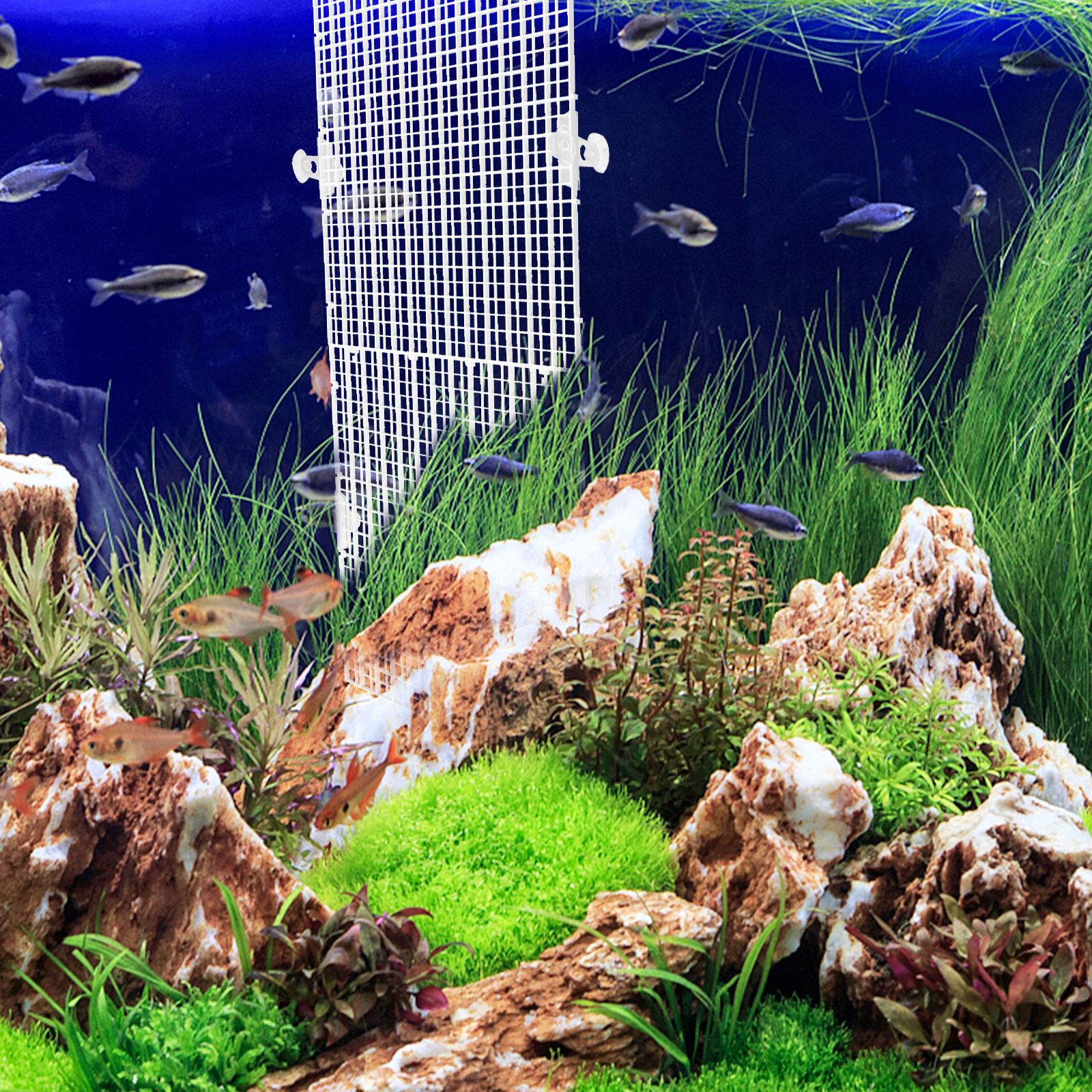 Aquarium Fish Jumping - 2Pcs Fish Tank Divider Anti-Jumping Panel