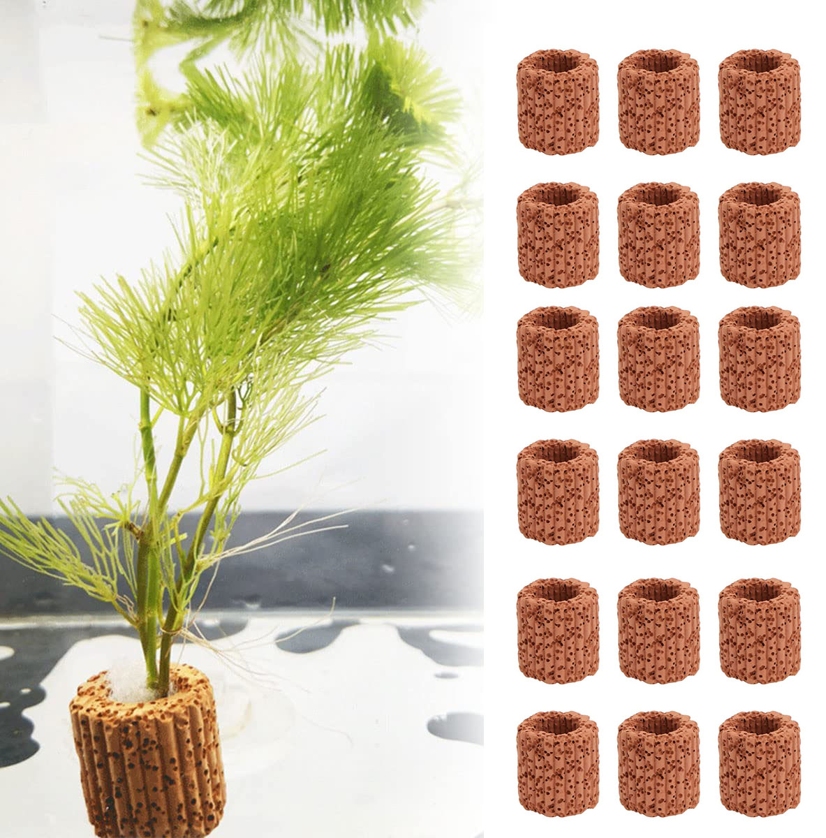 Aquarium Fish Cartoon - 10/20Pcs Aquatic Water Plant Fixed Ring