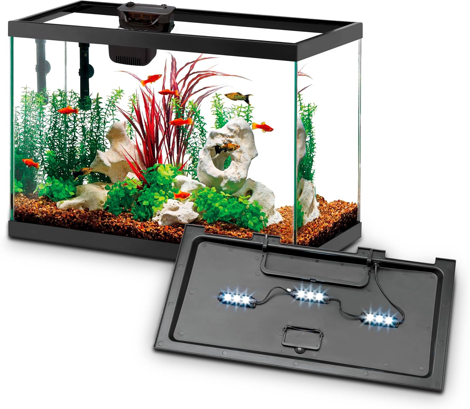 Tetra Fish In Aquarium - Aquarium Starter Kit with Smart Clean