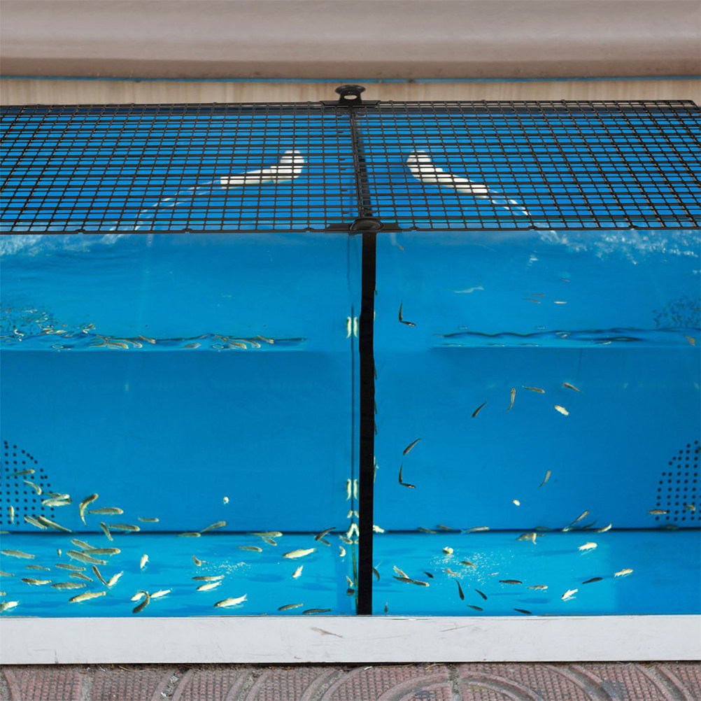 1Set ABS Aquarium Divider Plat - Aquarium Fish Jumping 评论和价格