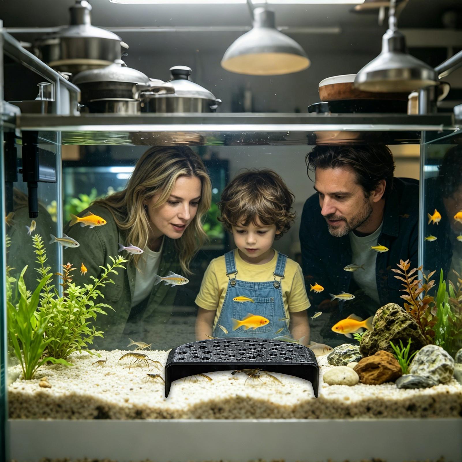 Aquatic Pet Rest Ornament Mult - Aquarium Fish Zone 评论和价格