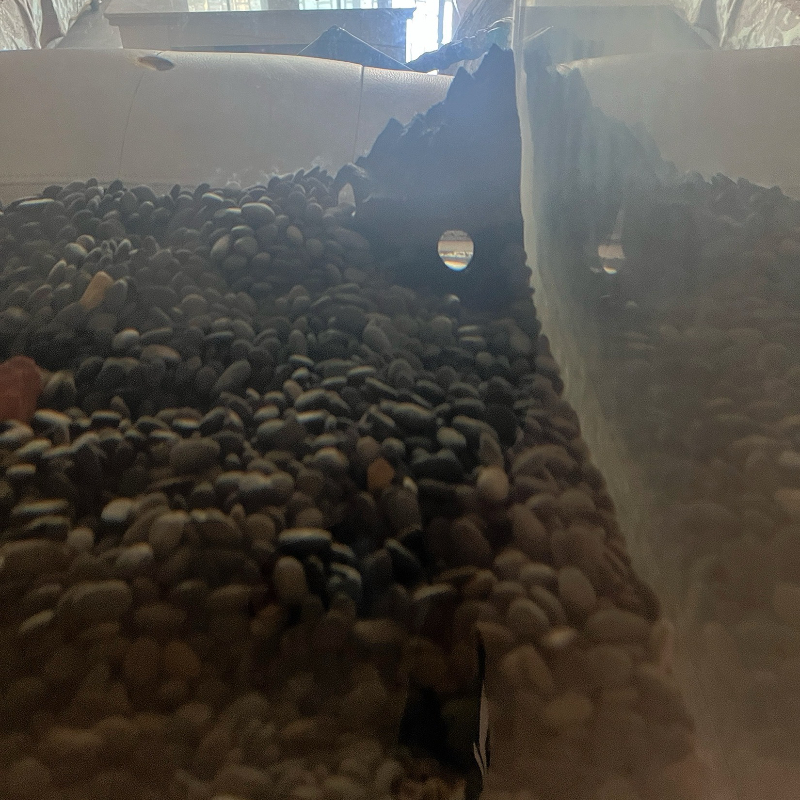Aquarium Decoration Fish Tank  - Aquarium Fish Parrot 评论和价格