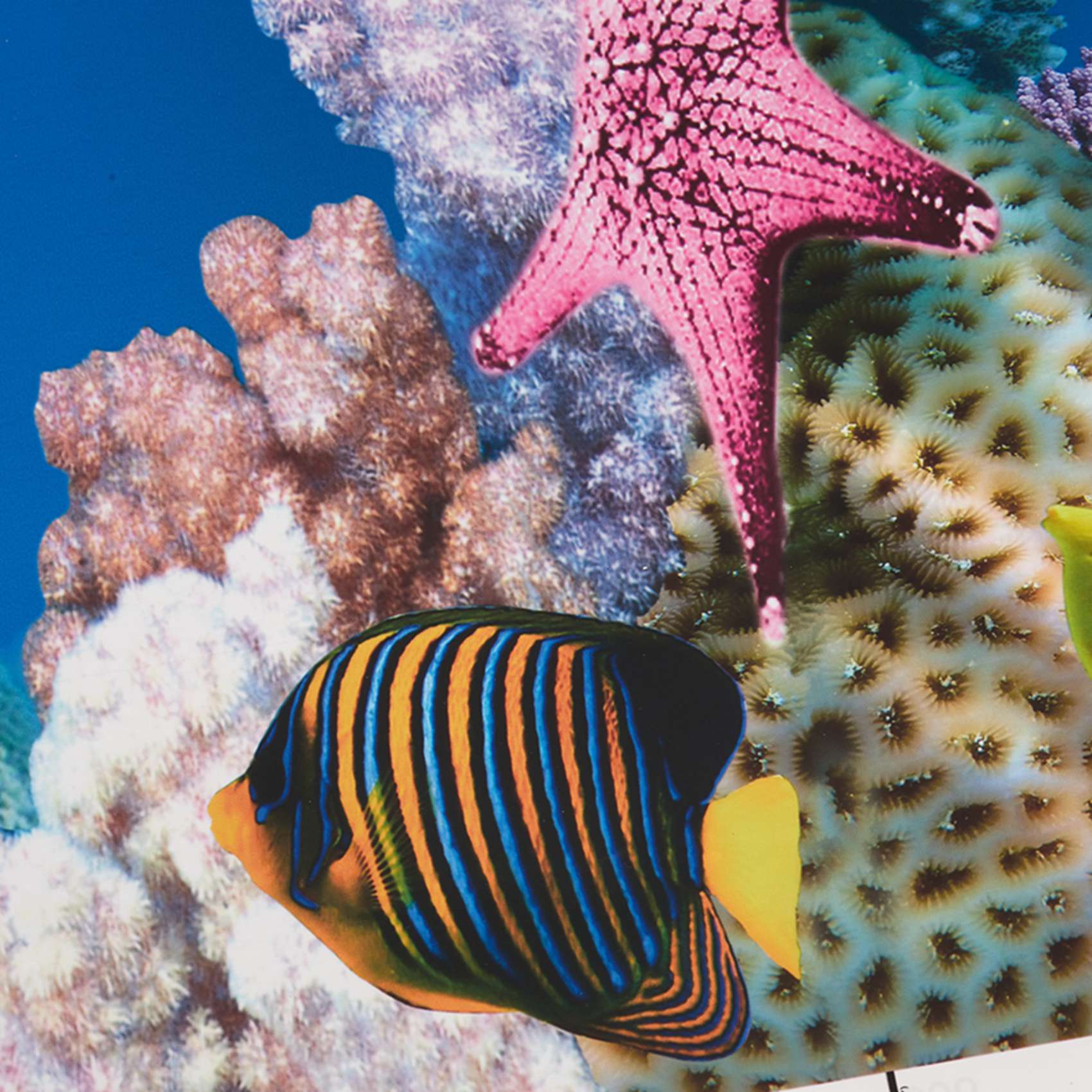 ABWR-Aquarium Background Paper - Aquarium Fish Wallpaper 评论和价格