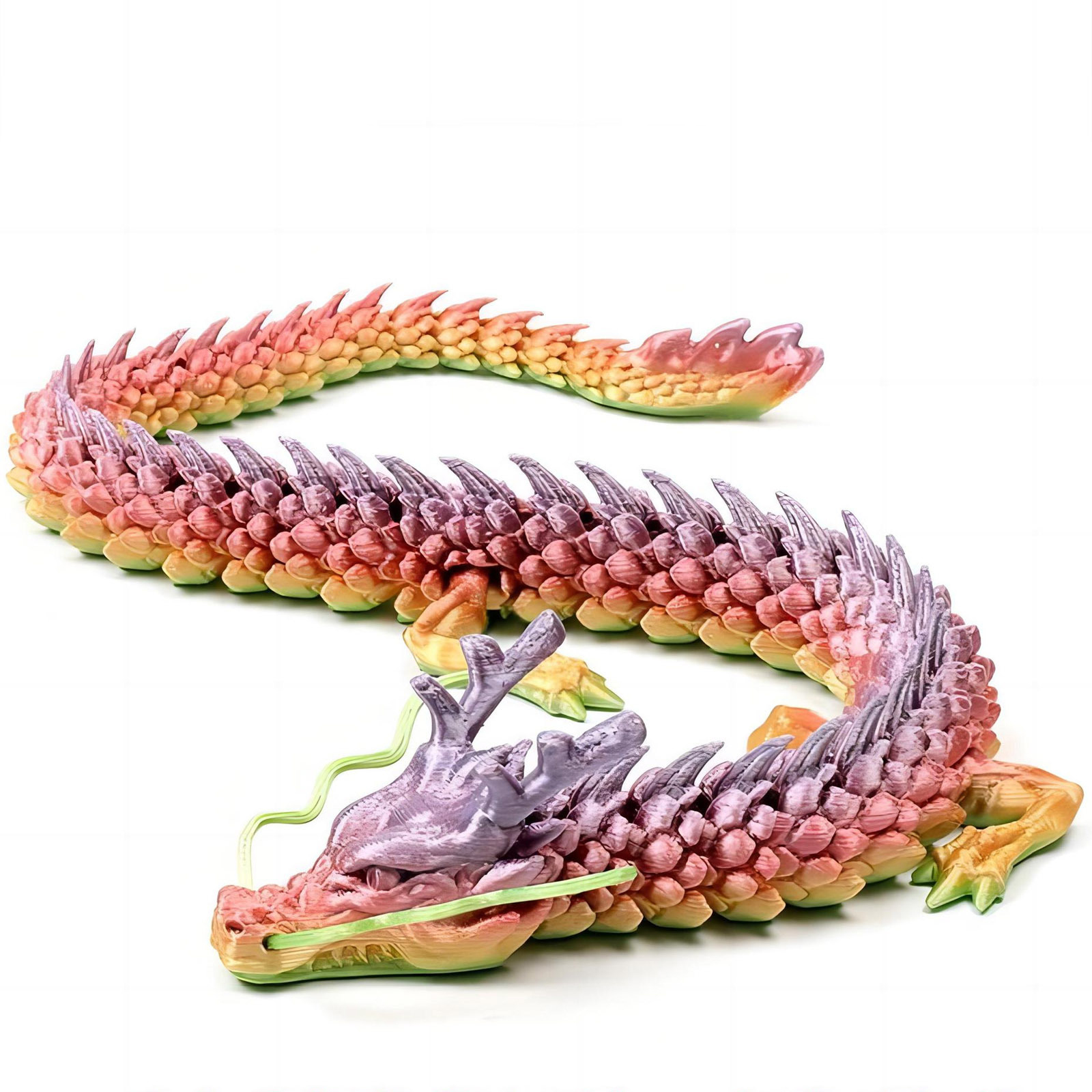 3D Printed Conjoined Dragon Or - Aquarium Fish Cartoon 评论和价格