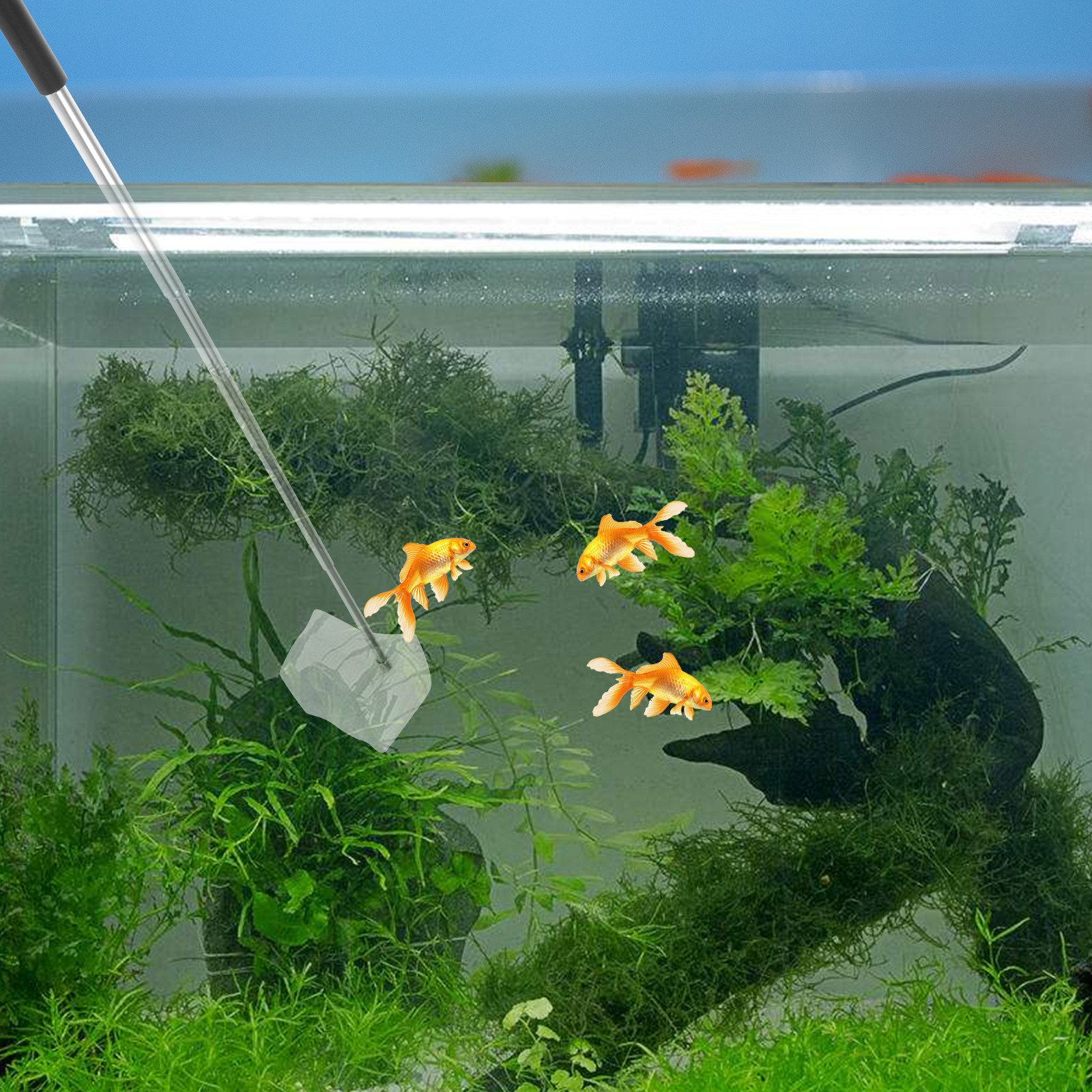 Shrimp Net with Extendable Adj - Aquarium Fish Net 评论和价格
