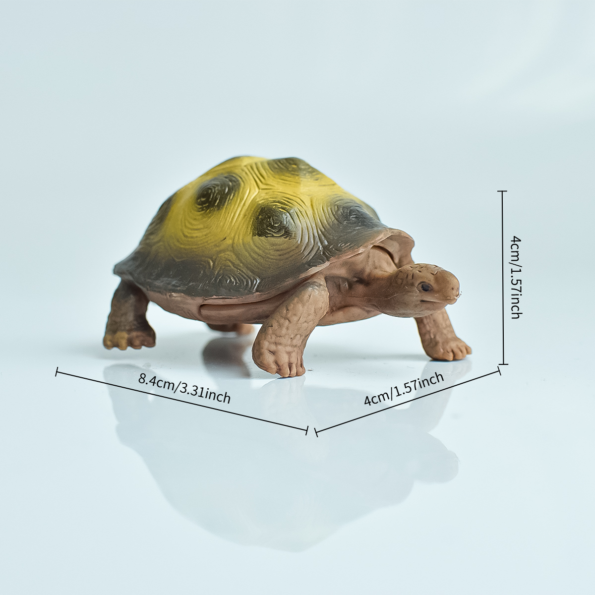 Painted Realistic Animal Turtl - Aquarium Fish Only 评论和价格