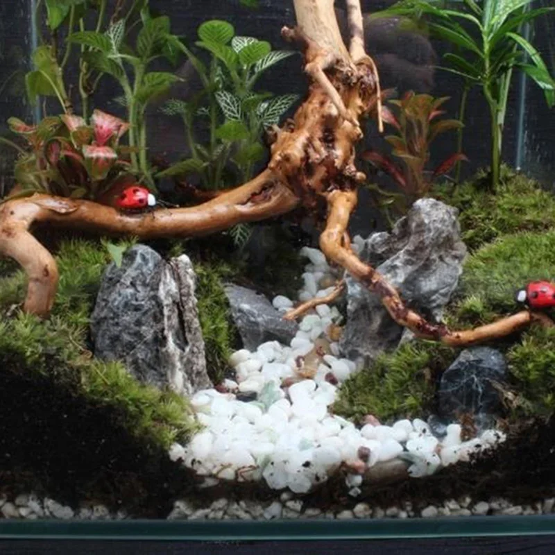 Natural Tree Trunk Driftwood A - Aquarium Fish Cartoon 评论和价格