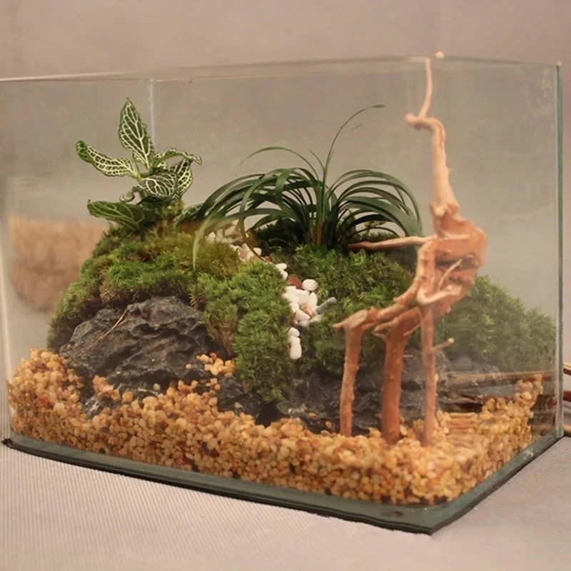 Natural Tree Trunk Driftwood A - Aquarium Fish Cartoon 评论和价格