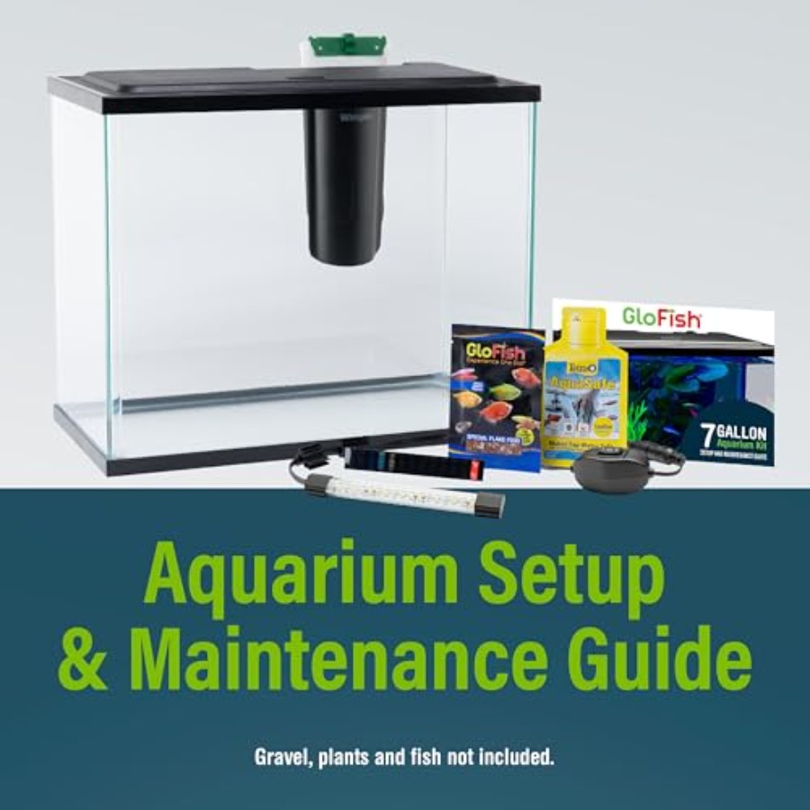Aquarium Starter Kit 6.6 Gallo - Tetra Fish In Aquarium 评论和价格