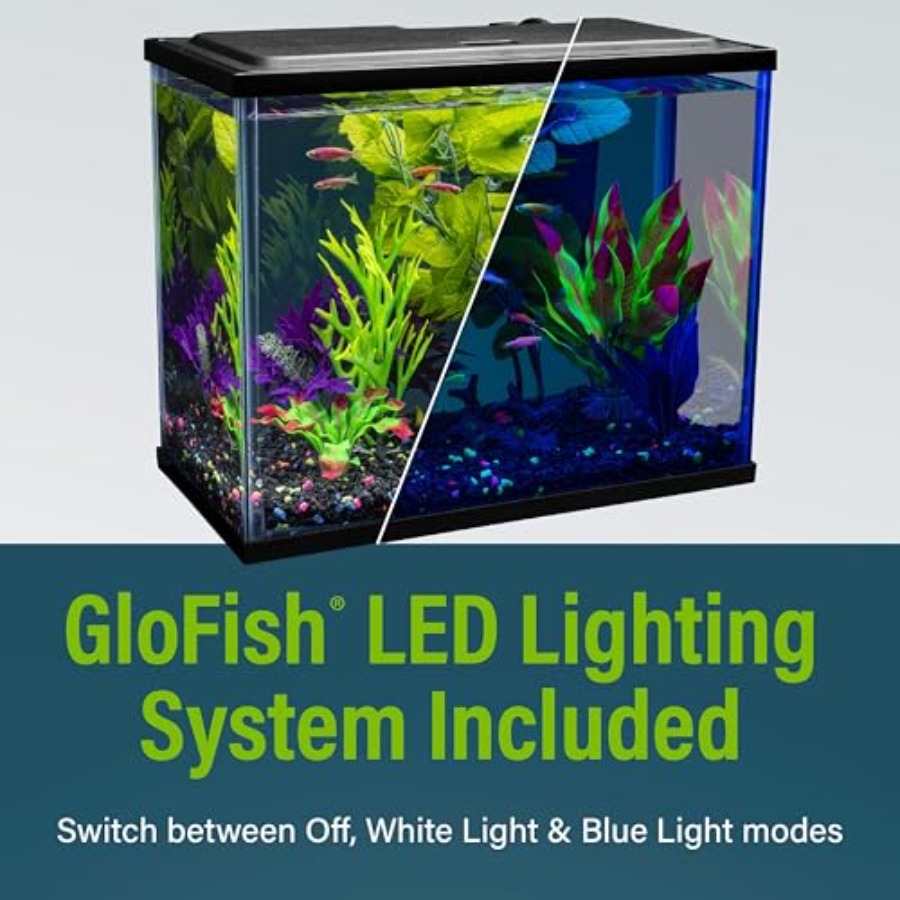 Aquarium Starter Kit 6.6 Gallo - Tetra Fish In Aquarium 评论和价格