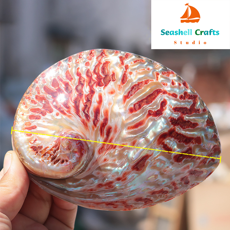 Home Decoration Red Pattern Ab - Aquarium Fish Cartoon 评论和价格