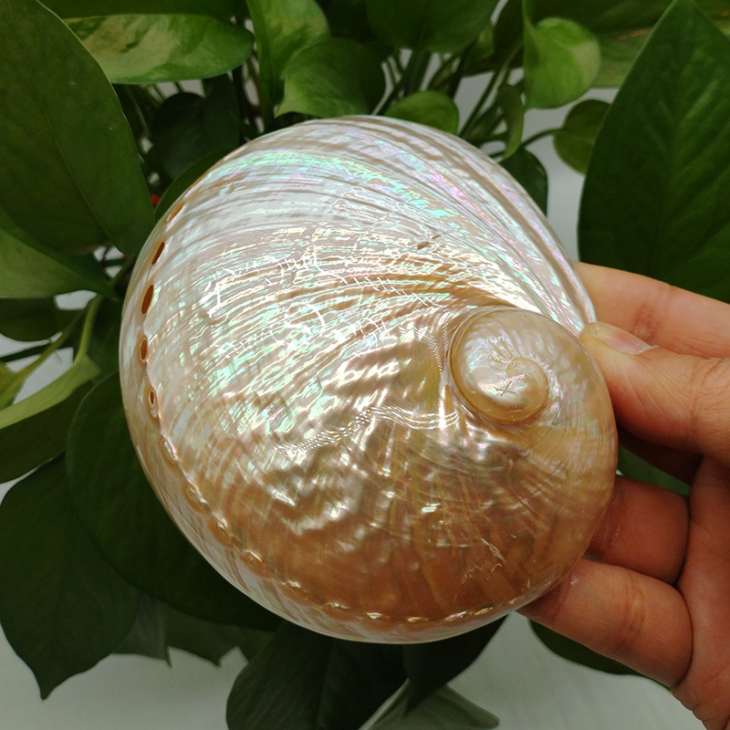 Home Decoration Red Pattern Ab - Aquarium Fish Cartoon 评论和价格