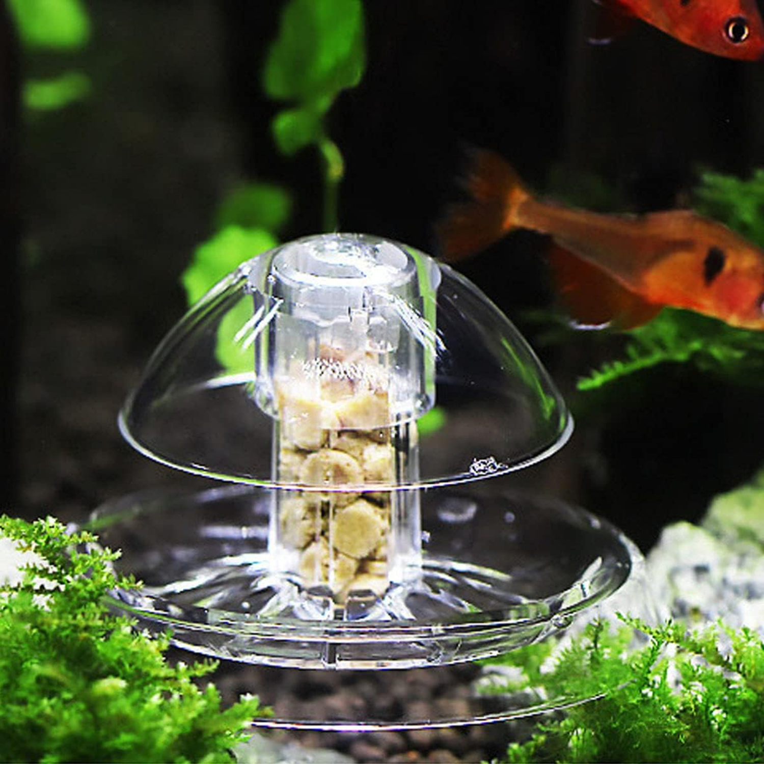 Ailindany Snail Trap Plastic T - Aquarium Fish In Online 评论和价格