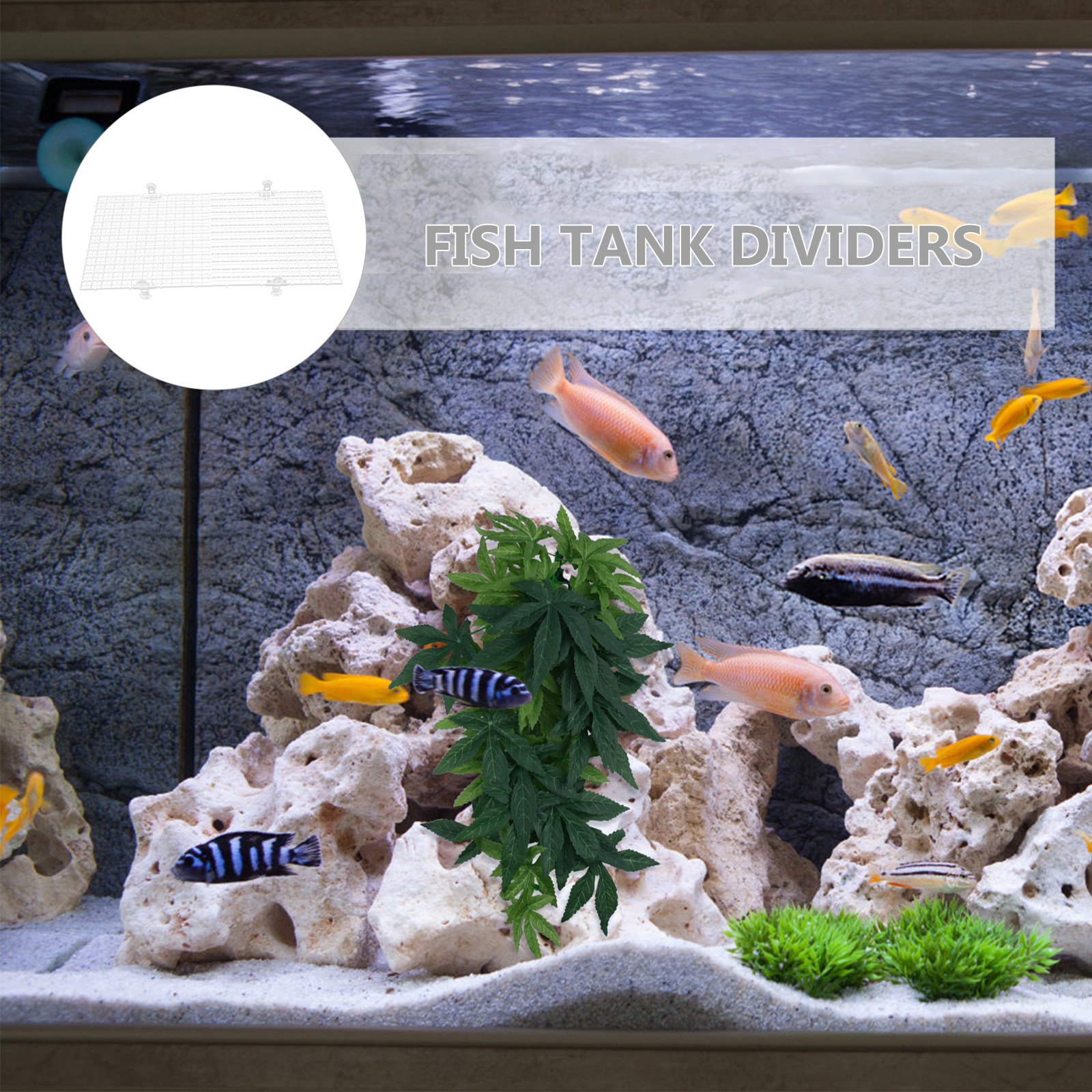 2Pcs Fish Tank Divider Anti-Ju - Aquarium Fish Jumping 评论和价格
