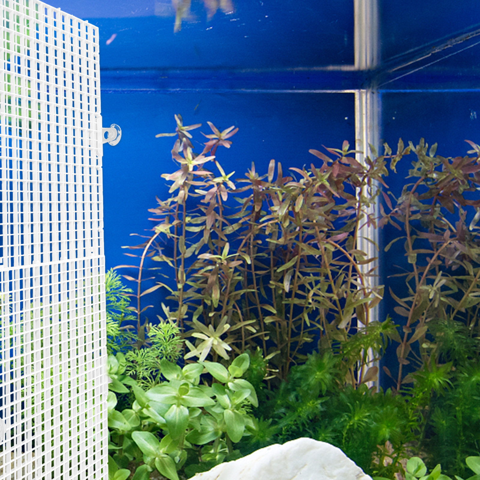 2Pcs Fish Tank Divider Anti-Ju - Aquarium Fish Jumping 评论和价格
