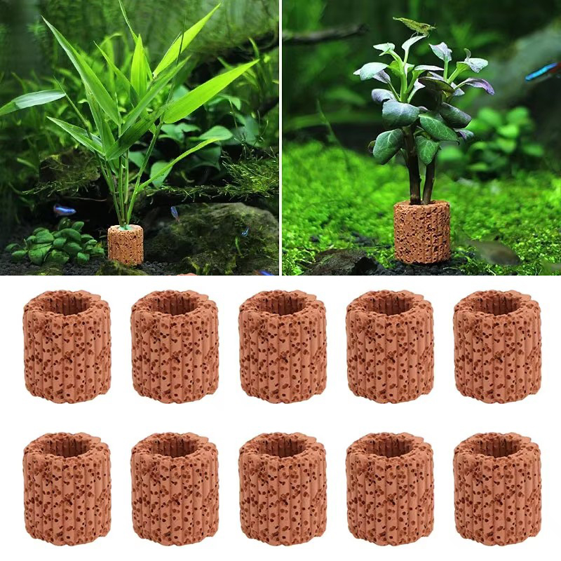 Aquatic Plant Fixed Ring for A - Aquarium Fish Cartoon 评论和价格