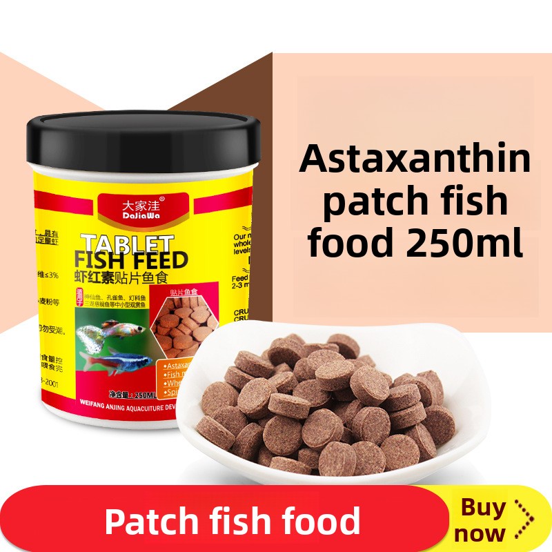 DaJiaWa Tropical Fish Feeding  - Tetra Fish In Aquarium 评论和价格