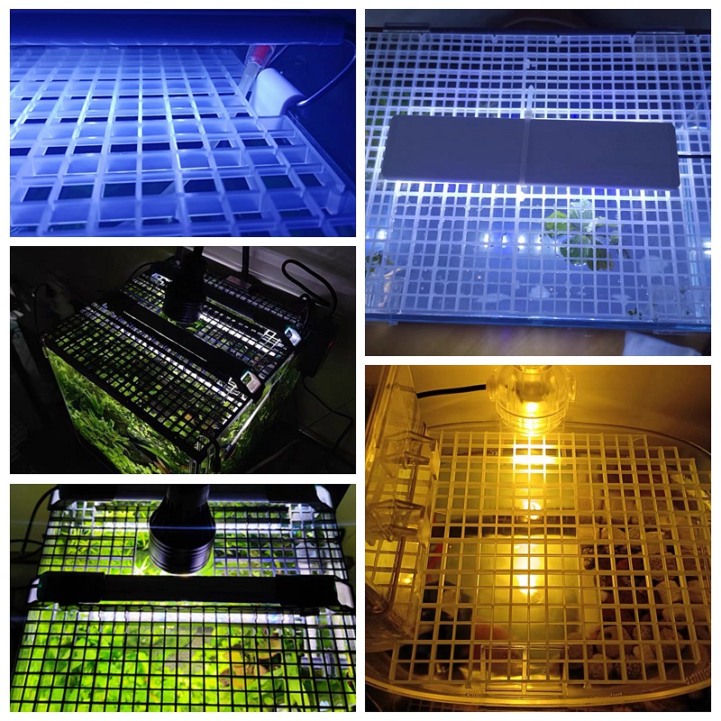 Fish Tank Isolation Plate Uppe - Aquarium Fish Net 评论和价格