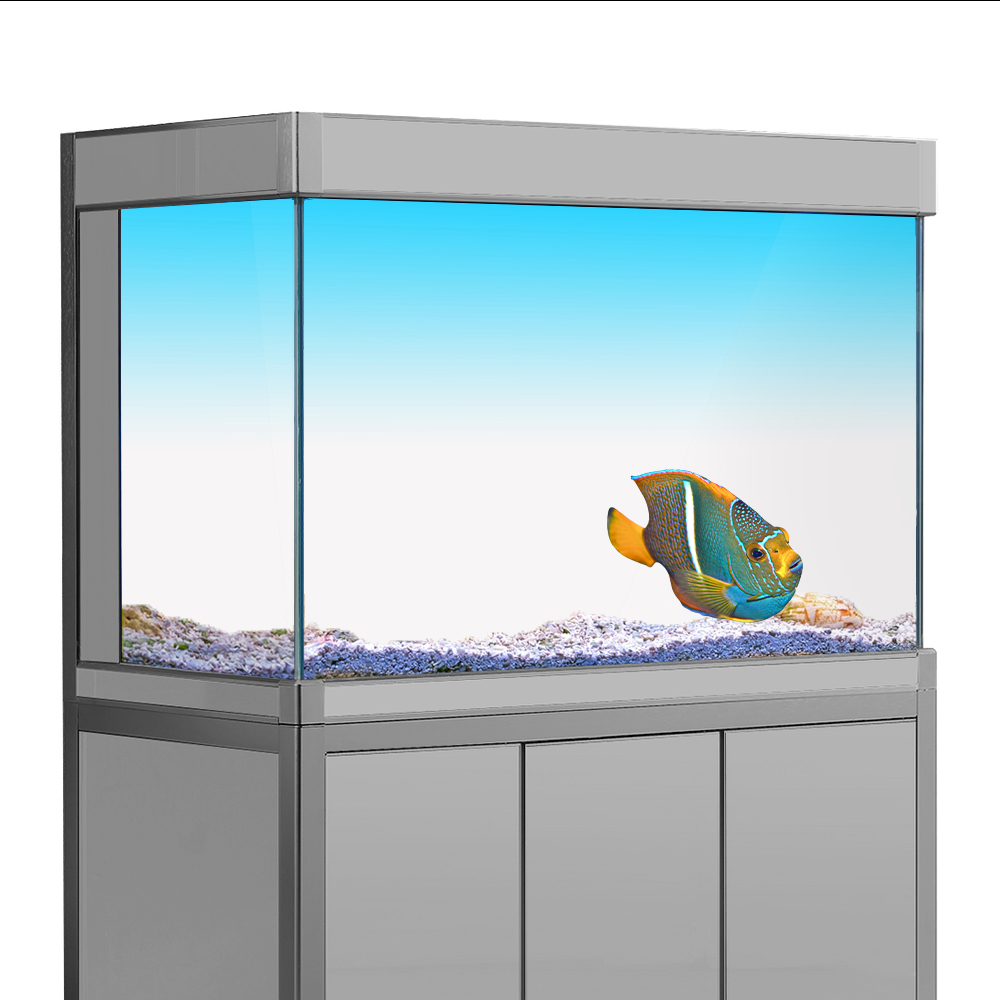 Fish Tank Background Sticker W - Aquarium Fish Wallpaper 评论和价格