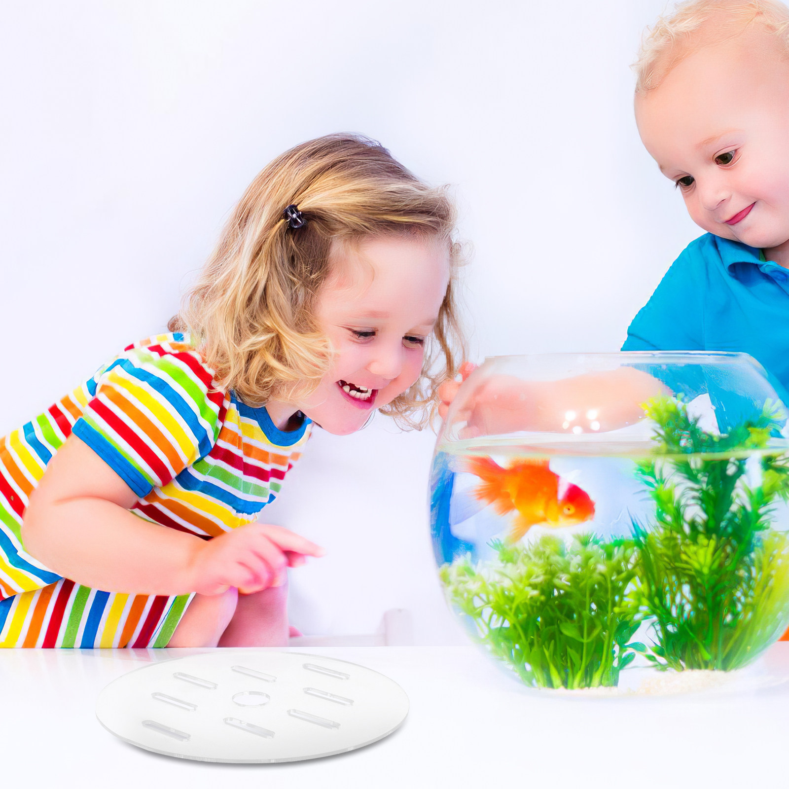 Transparent Acrylic Aquarium C - Aquarium Fish Jumping 评论和价格
