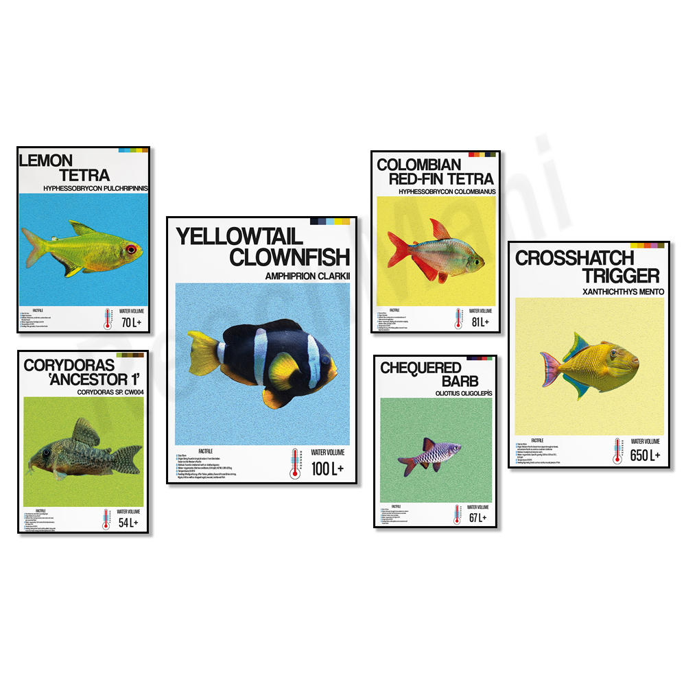 Aquarium, yellow tail clownfis - Tetra Fish In Aquarium 评论和价格