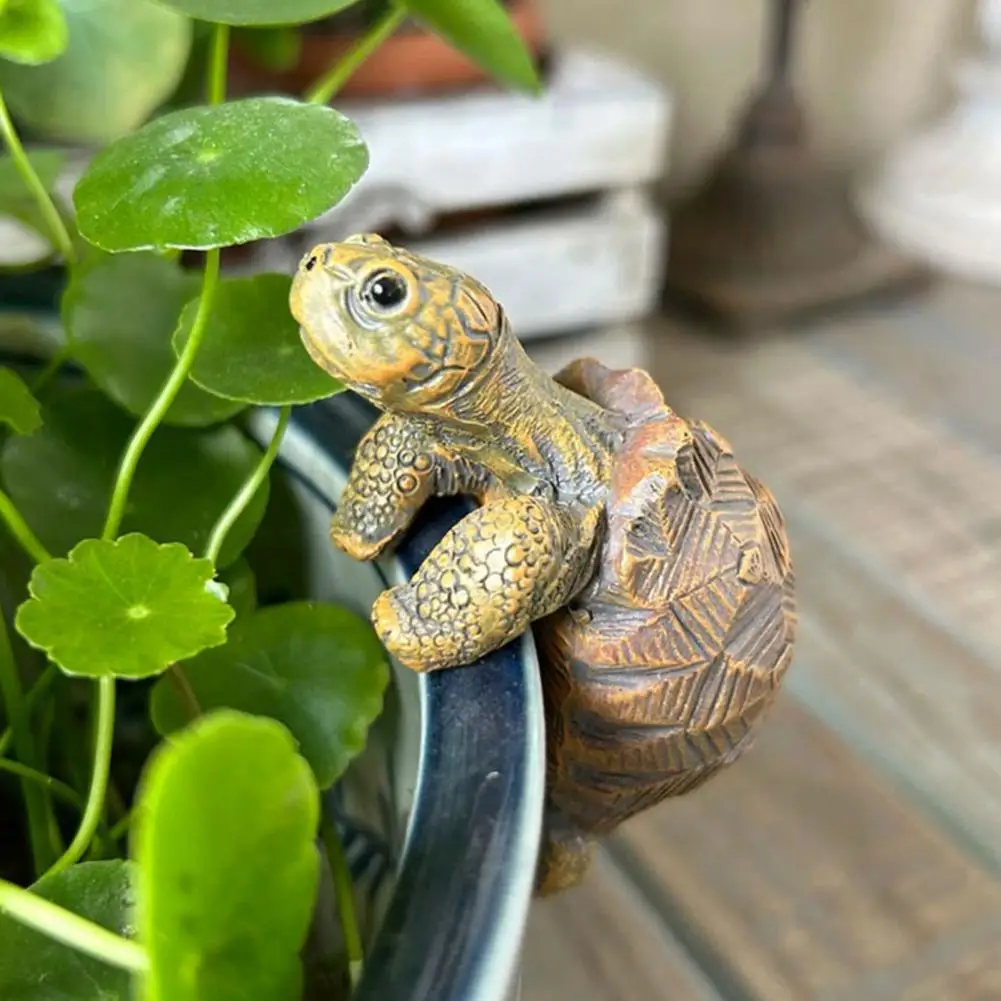 Fishing Turtle Hanging Turtle  - Aquarium Fish Only 评论和价格