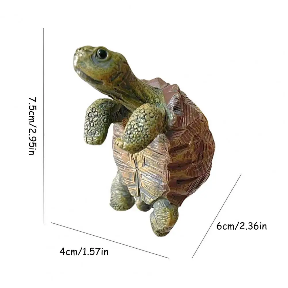 Fishing Turtle Hanging Turtle  - Aquarium Fish Only 评论和价格