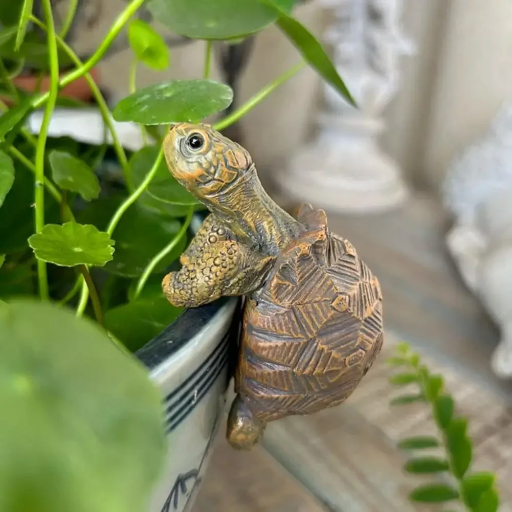 Fishing Turtle Hanging Turtle  - Aquarium Fish Only 评论和价格