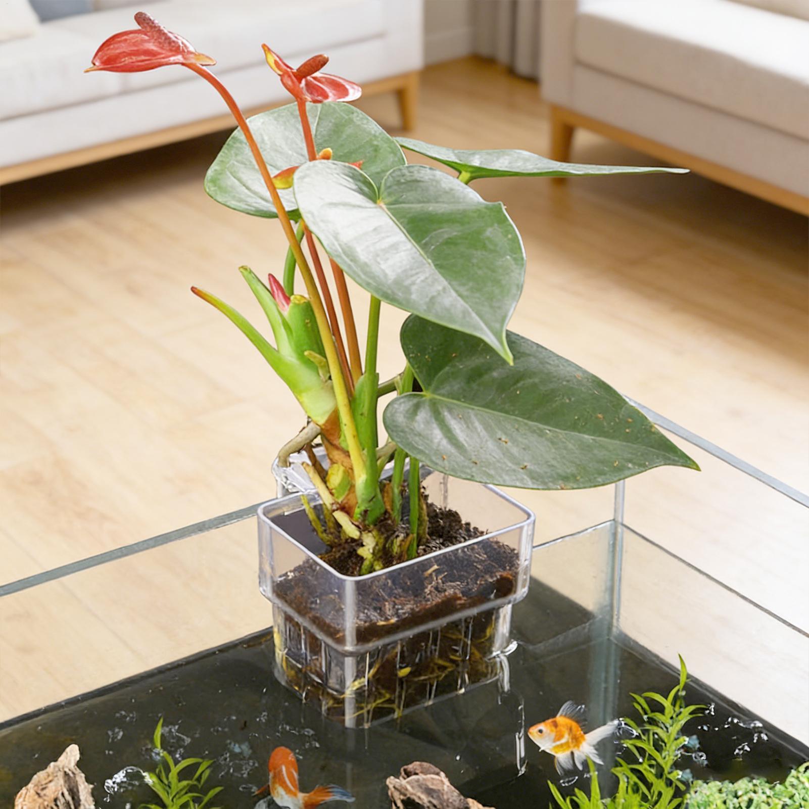 Transparent Hangable Aquarium  - Aquarium Fish Only 评论和价格