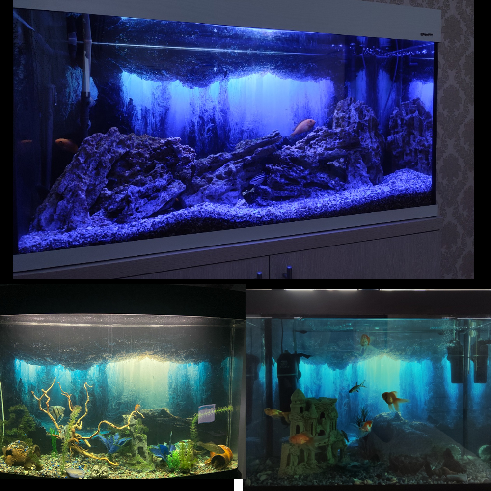 Aquarium Background Sticker,   - Aquarium Fish Wallpaper 评论和价格