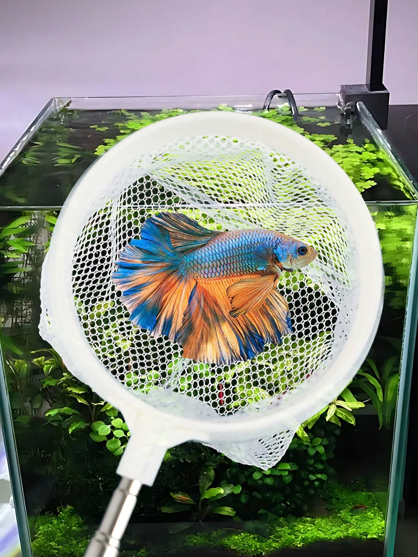 Aquarium Fish Net - a Retracta - Aquarium Fish Net 评论和价格
