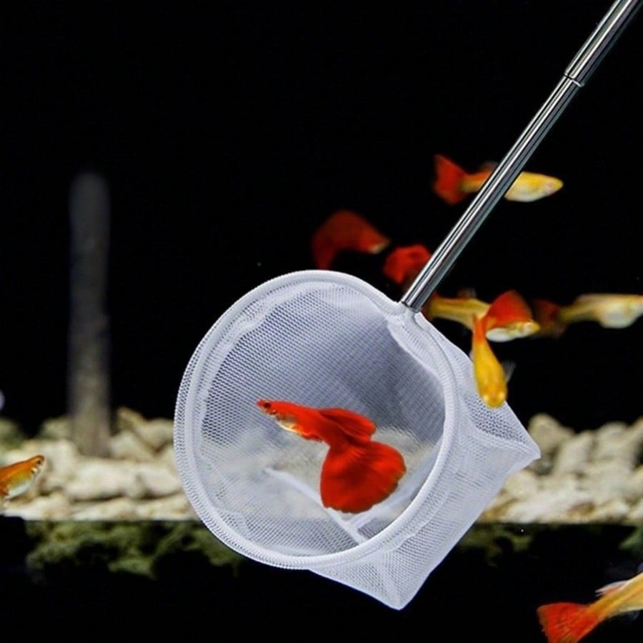 Aquarium Fish Net - a Retracta - Aquarium Fish Net 评论和价格