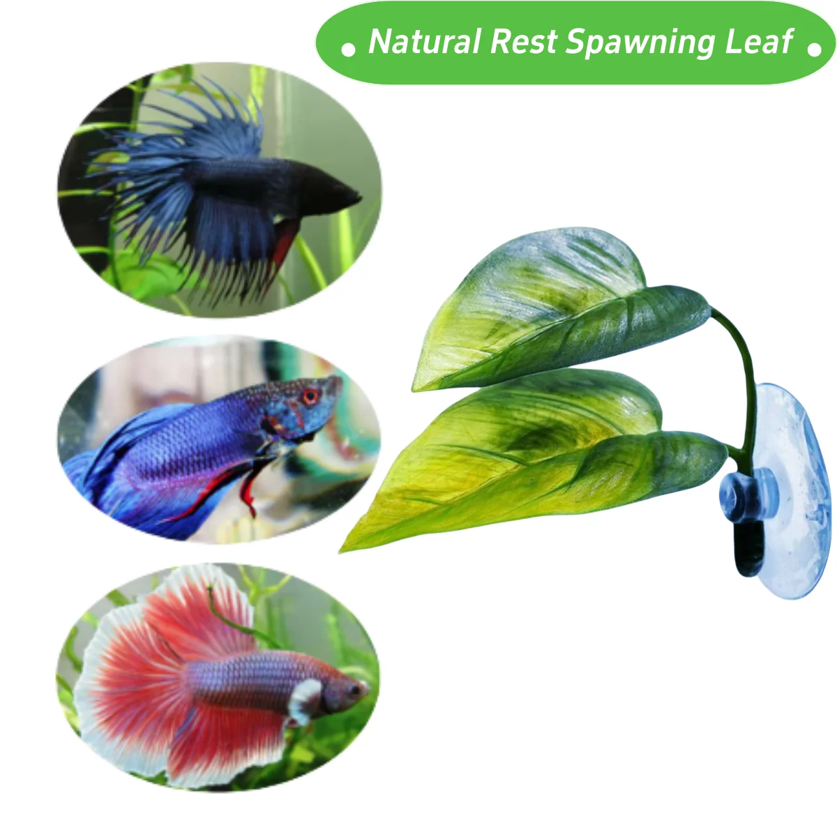 Pets Fish Tank Decor Betta Rel - Aquarium Fish Only 评论和价格