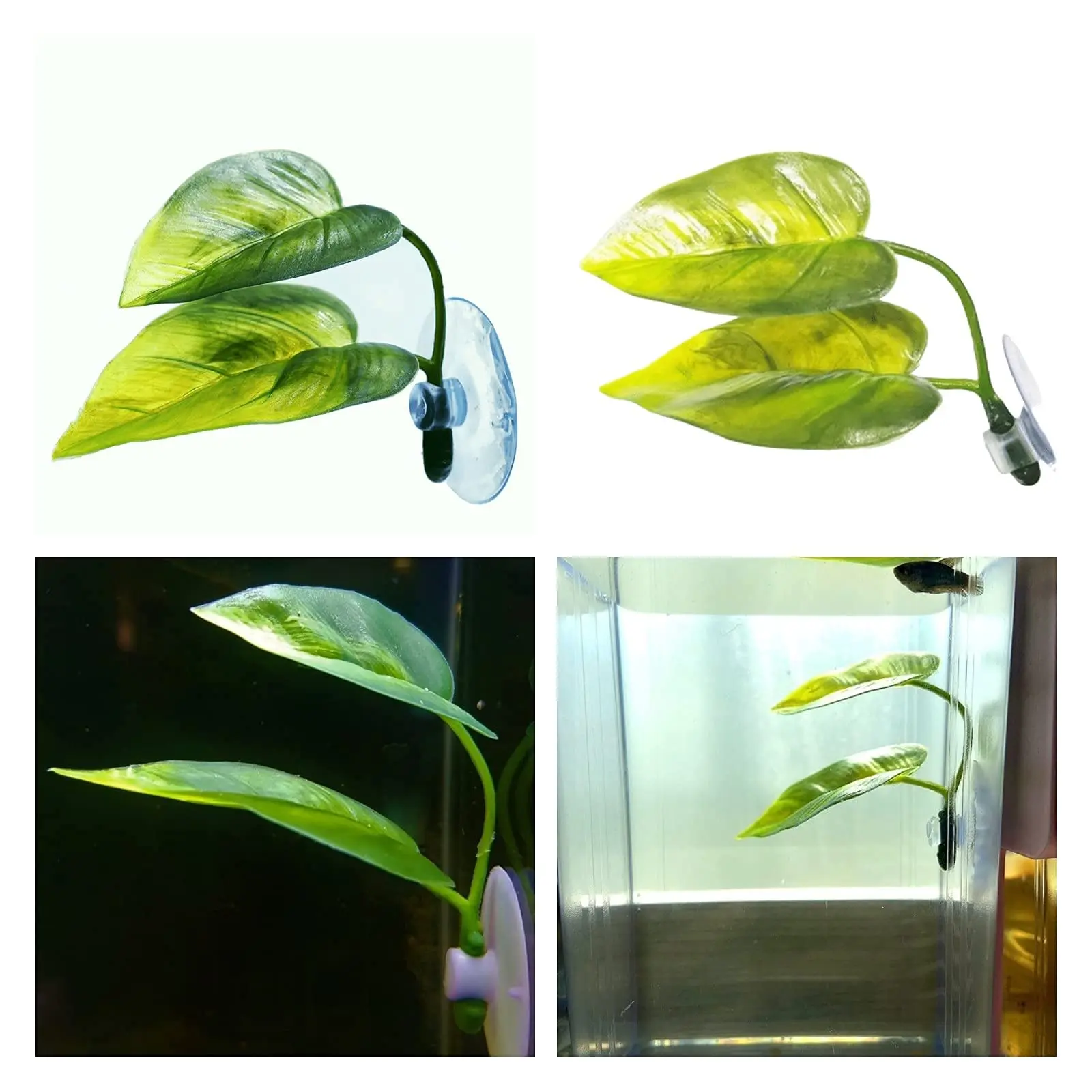 Pets Fish Tank Decor Betta Rel - Aquarium Fish Only 评论和价格