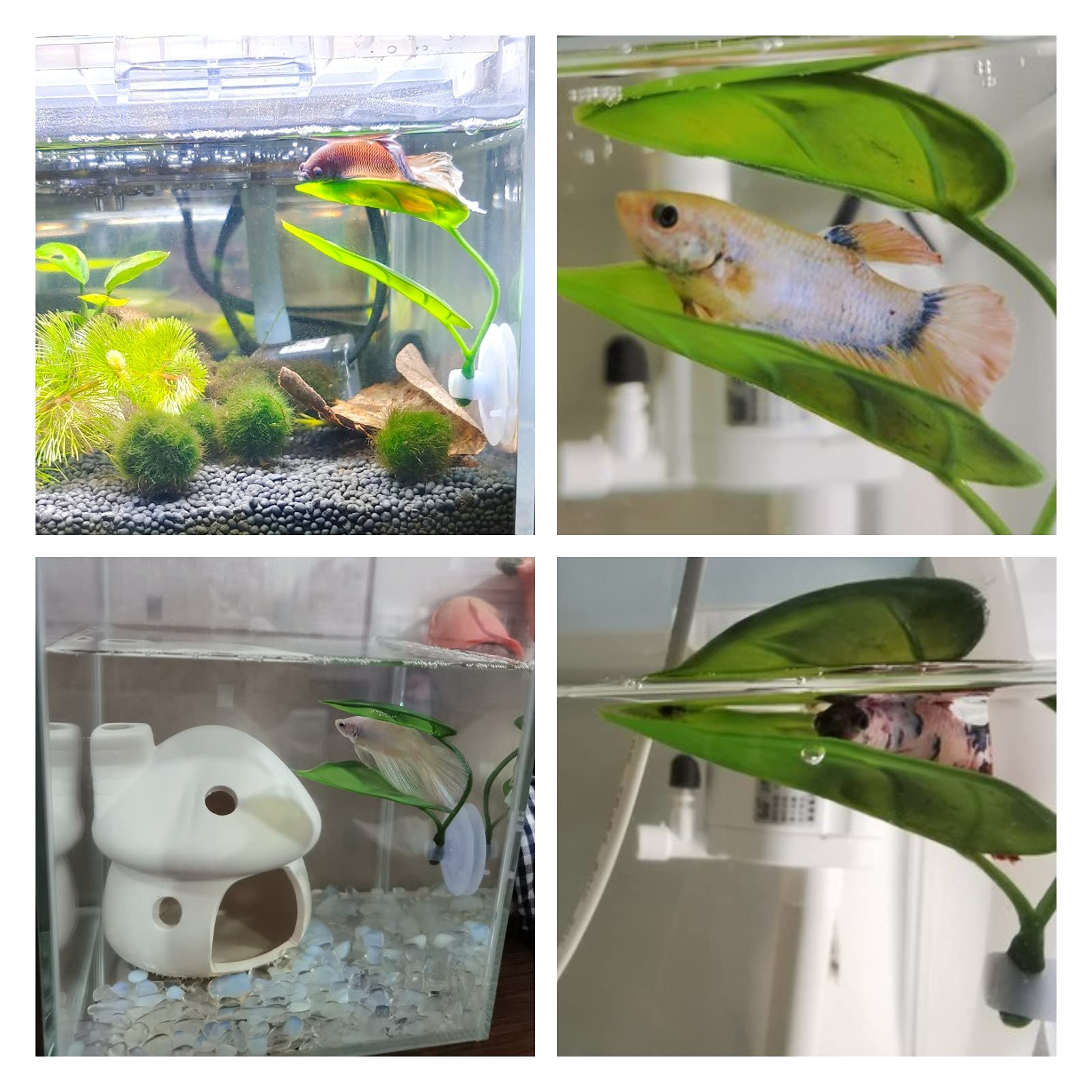 Pets Fish Tank Decor Betta Rel - Aquarium Fish Only 评论和价格