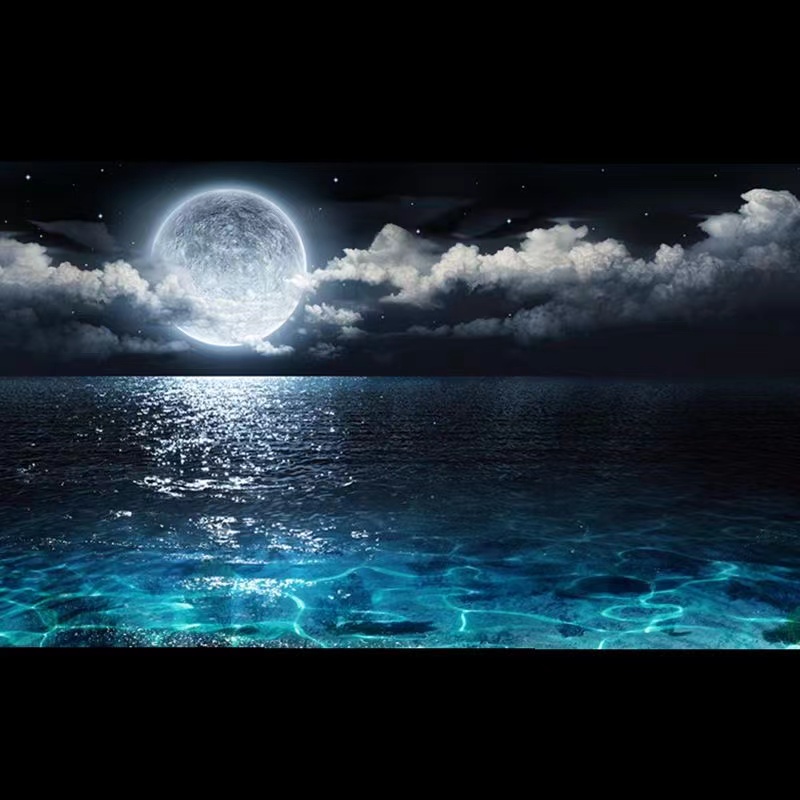 High Definition 3D Fish Tank B - Aquarium Fish Wallpaper 评论和价格