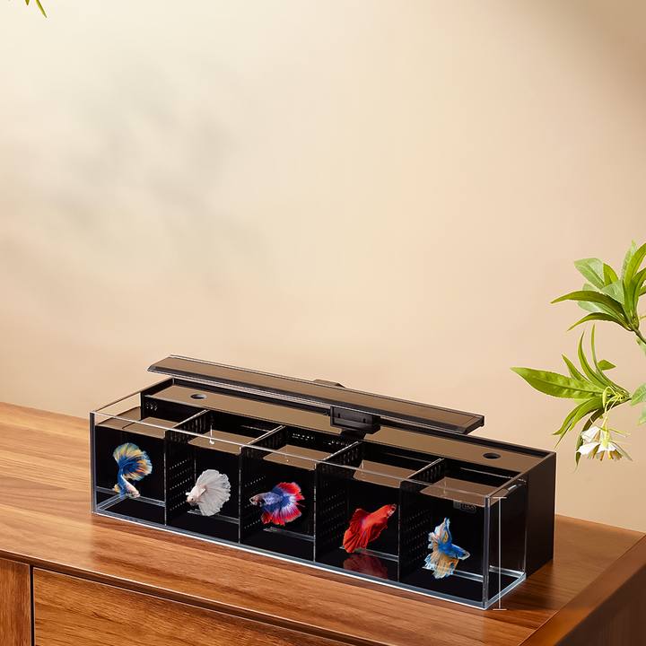 Modular Self-Cleaning Glass Fi - Aquarium Fish Zone 评论和价格