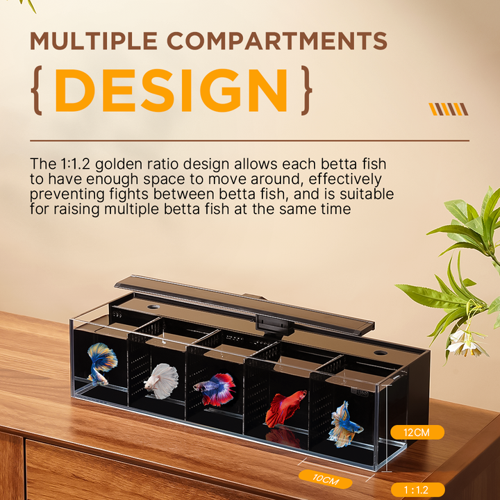 Modular Self-Cleaning Glass Fi - Aquarium Fish Zone 评论和价格