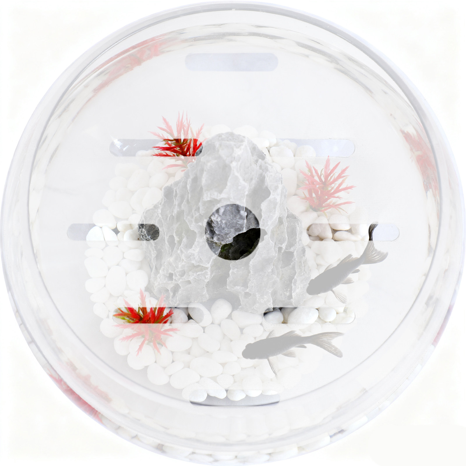 18Cm Round Acrylic Aquarium Co - Aquarium Fish Jumping 评论和价格