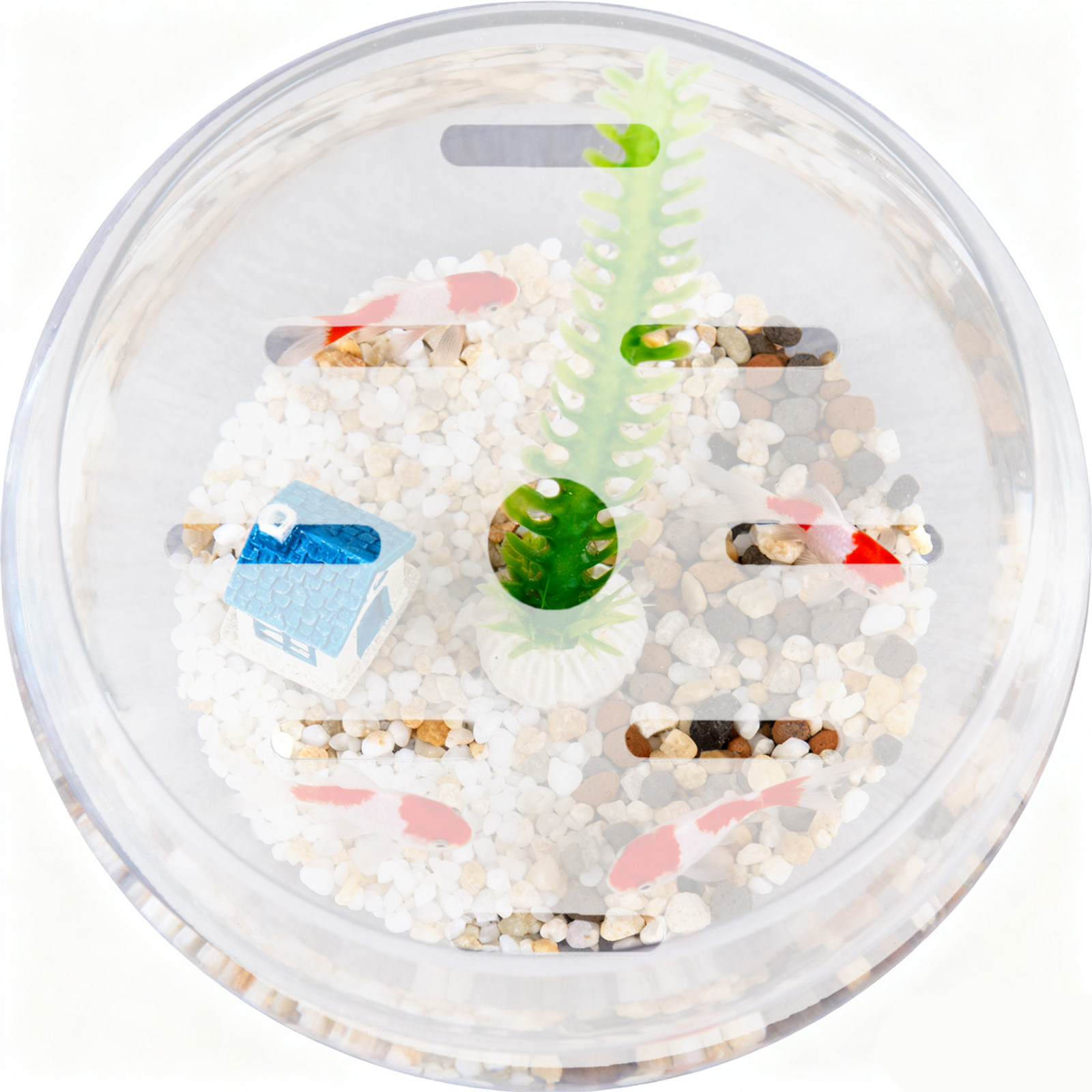 18Cm Round Acrylic Aquarium Co - Aquarium Fish Jumping 评论和价格