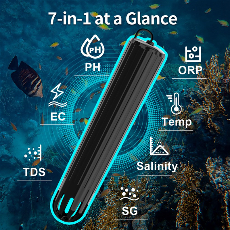 【Flash-Deal!】7 In 1 Online Wif - Aquarium Fish In Online 评论和价格