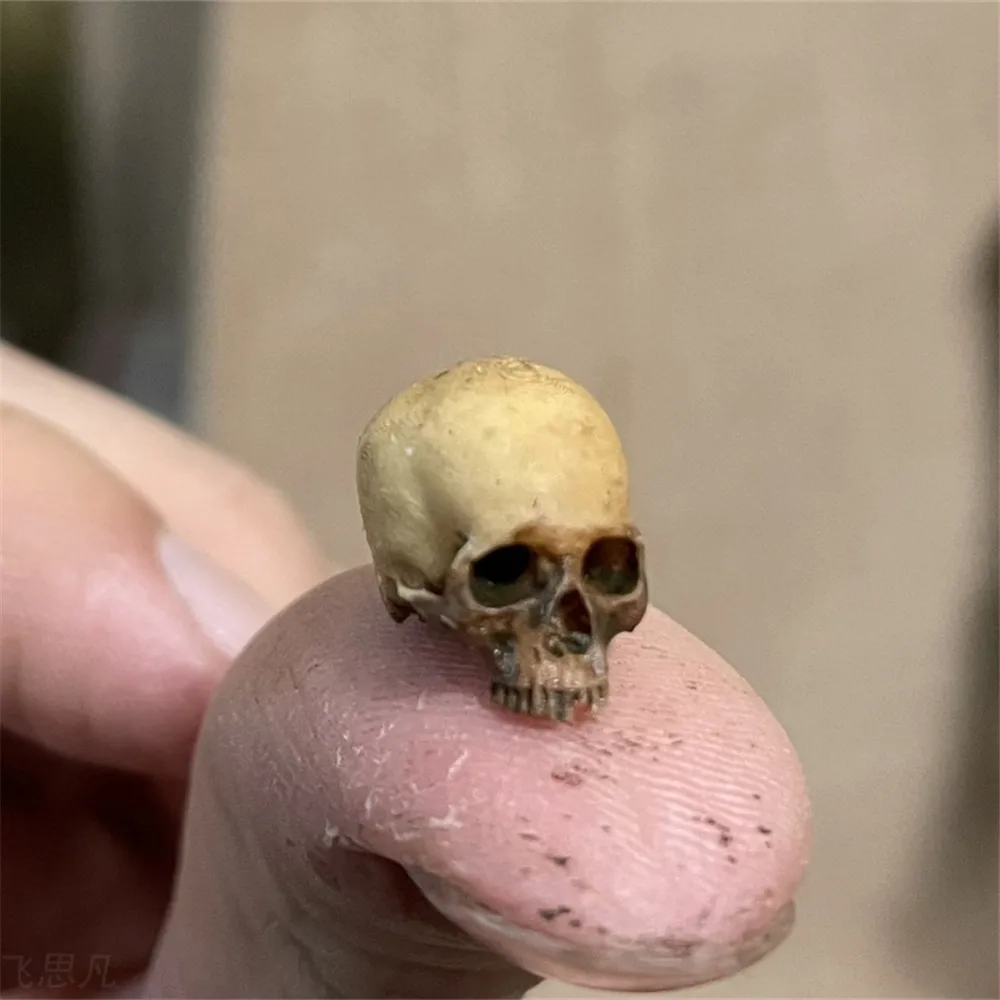 Mini Skull High Quality Miniat - Aquarium Fish Only 评论和价格