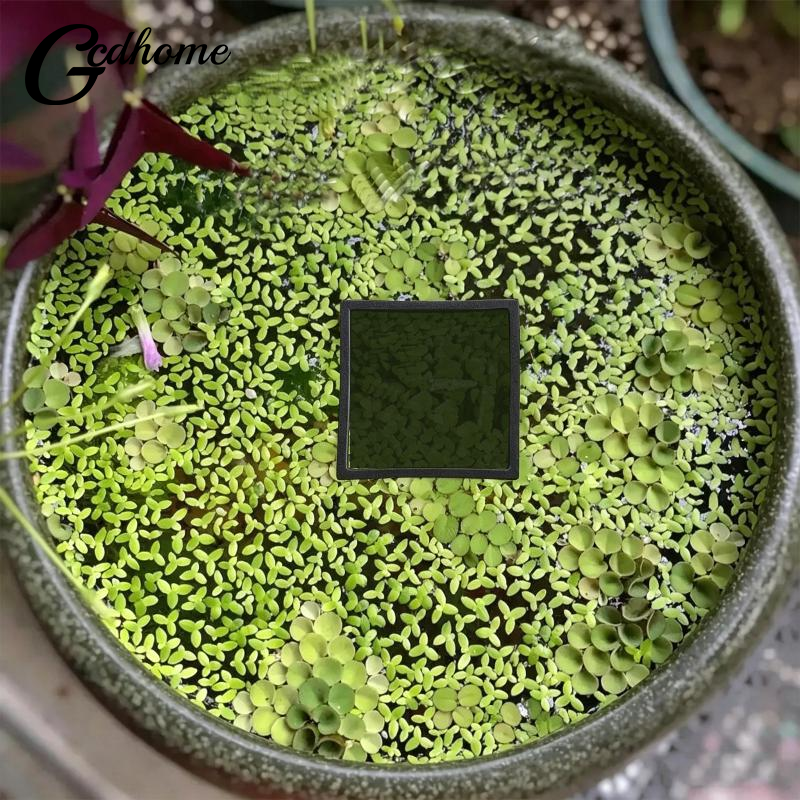 Aquarium Floating Plant Rings  - Aquarium Fish Zone 评论和价格