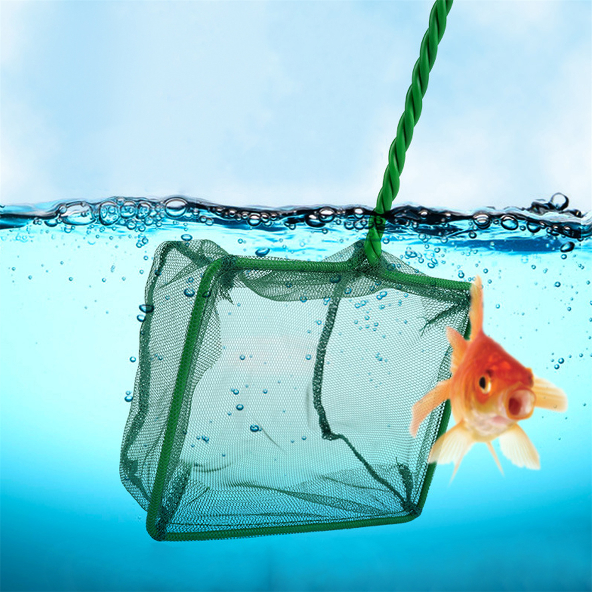 3~10 Inch Portable Nylon Green - Aquarium Fish Net 评论和价格