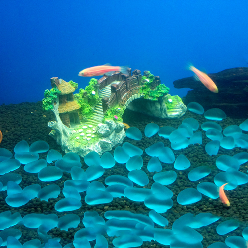 Aquarium Accessories Arbor Tre - Aquarium Fish Cartoon 评论和价格