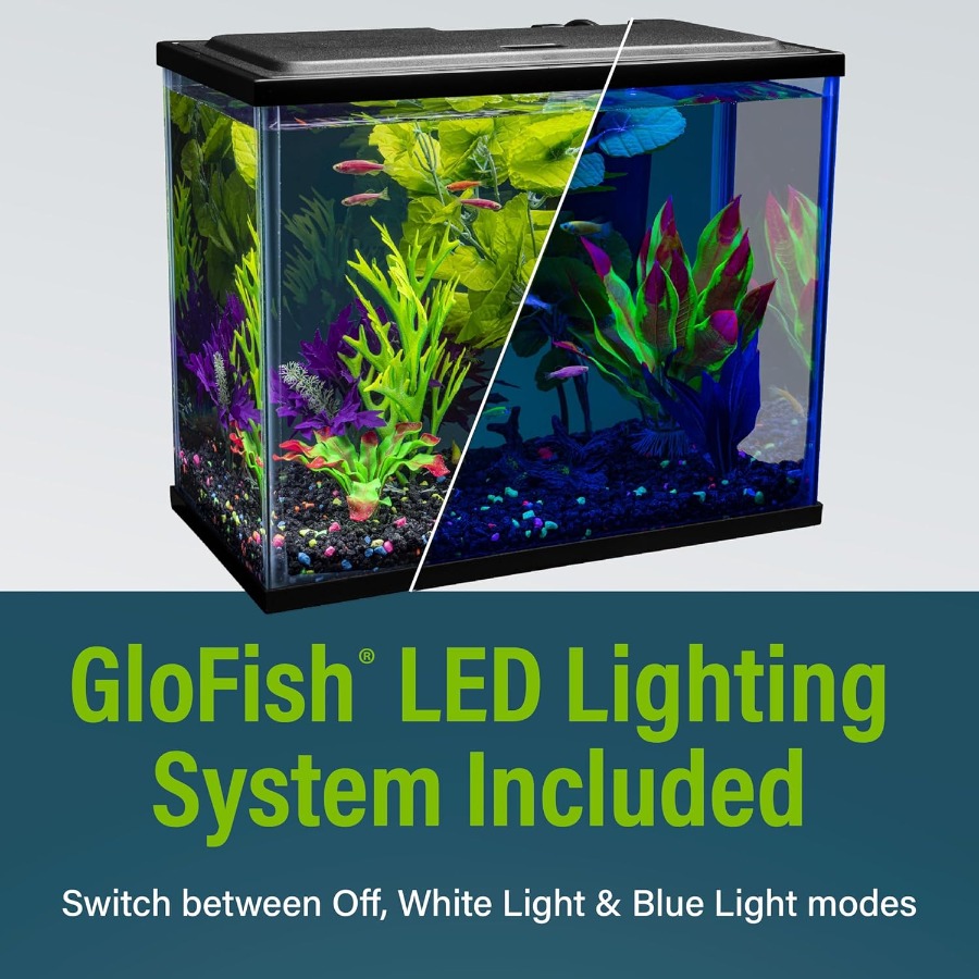 6.6 Gallon Fish Tank Starter K - Tetra Fish In Aquarium 评论和价格